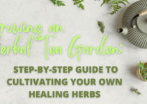 Growing an Herbal Tea Garden: A Step-by-Step Guide to Cultivating Your Own Healing Herbs