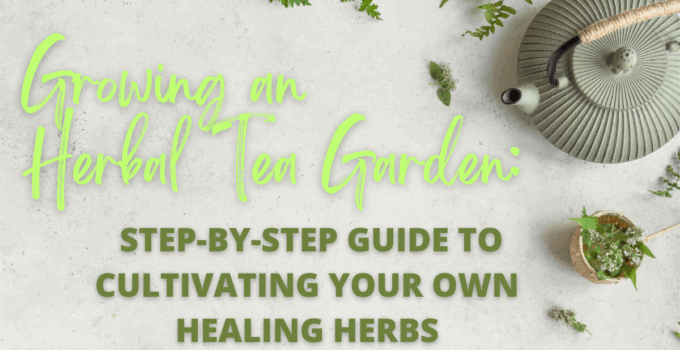 herbal tea garden