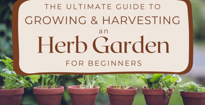 herb garden