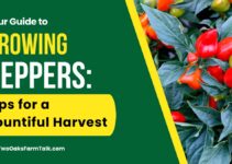Your Guide to Growing Peppers: Tips for a Bountiful Harvest