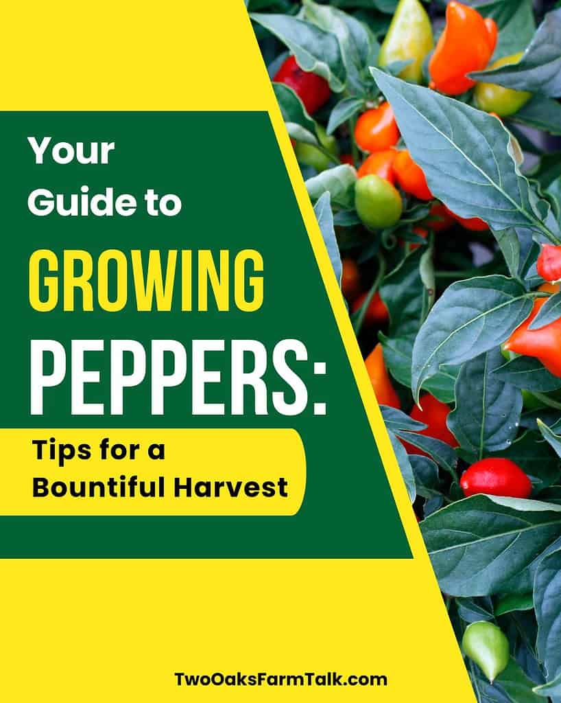 Your Guide to Growing Peppers: Tips for a Bountiful Harvest - Two Oaks ...