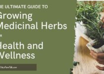 The Ultimate Guide to Growing Medicinal Herbs for Health and Wellness