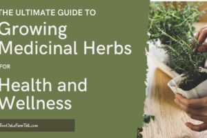 The Ultimate Guide to Growing Medicinal Herbs for Health and Wellness