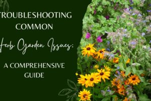 Troubleshooting Common Herb Garden Issues: A Comprehensive Guide