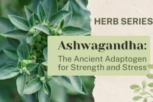 Ashwagandha: The Ancient Adaptogen for Strength and Stress