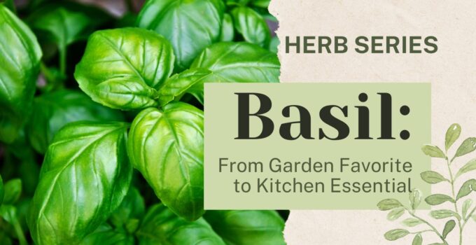 basil
