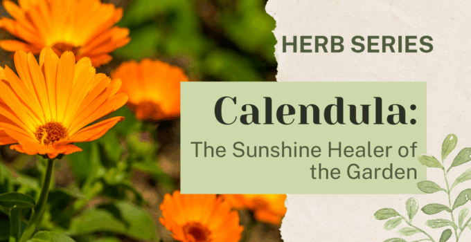 calendula