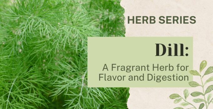 Dill