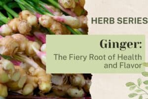 Ginger: The Fiery Root of Health and Flavor
