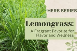 Lemongrass: A Fragrant Favorite for Flavor and Wellness