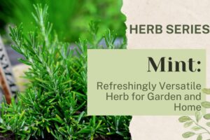 Mint: Refreshingly Versatile Herb for Garden and Home