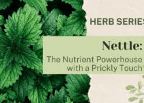 Nettle: The Nutrient Powerhouse with a Prickly Touch