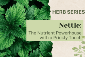 Nettle: The Nutrient Powerhouse with a Prickly Touch