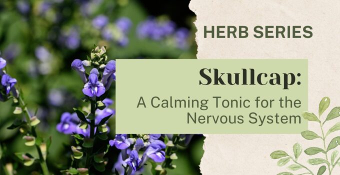 skullcap