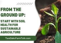From the Ground Up: Start with Soil Health for Sustainable Agriculture