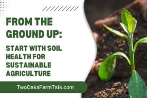 From the Ground Up: Start with Soil Health for Sustainable Agriculture