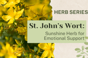 St Johns Wort: Sunshine Herb for Emotional Support