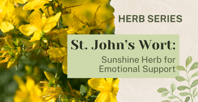st johns wort