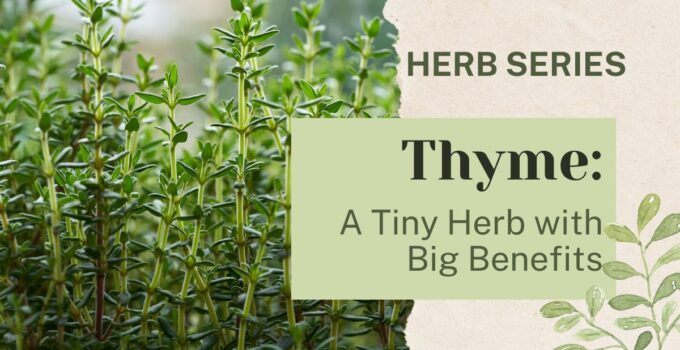 thyme