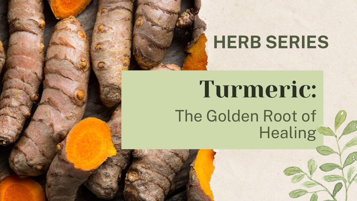 Turmeric: The Golden Root of Healing