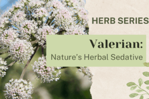 Valerian: Nature’s Herbal Sedative