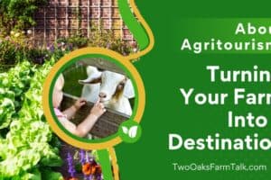 About Agritourism: Turning Your Farm Into a Destination