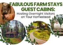Fabulous Farm Stays & Guest Cabins: Hosting Overnight Visitors on Your Homestead