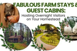 Fabulous Farm Stays & Guest Cabins: Hosting Overnight Visitors on Your Homestead