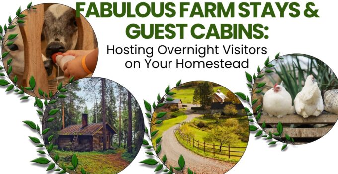 farm stays