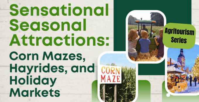 seasonal attractions