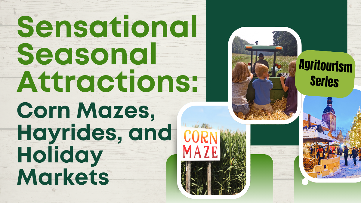 Sensational Seasonal Attractions: Corn Mazes, Hayrides, and Holiday Markets