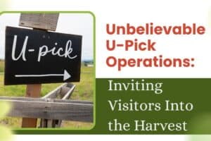 Unbelievable U-Pick Operations: Inviting Visitors Into the Harvest