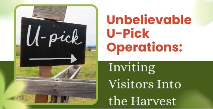 u-pick
