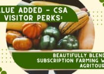 Value Added – CSA + Visitor Perks: Beautifully Blending Subscription Farming with Agritourism