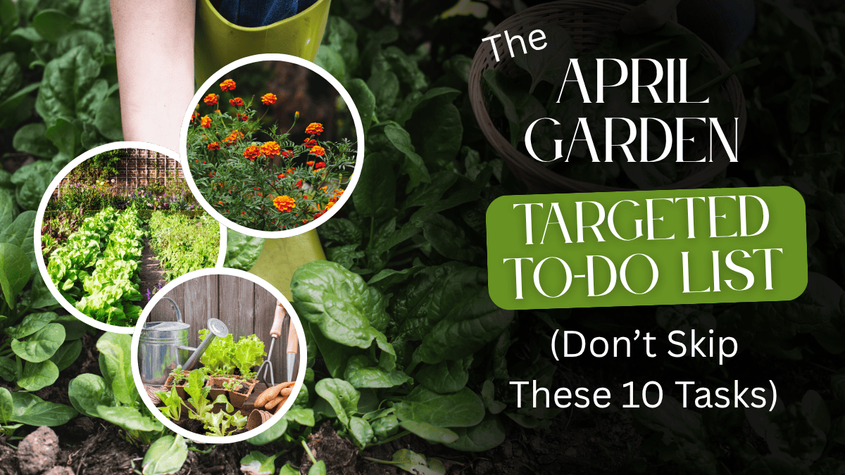 The April Garden Targeted To-Do List (Don’t Skip These 10 Tasks) - Two ...