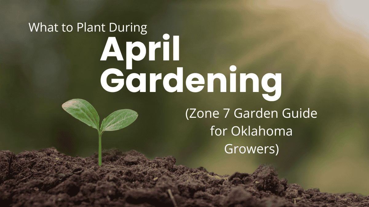 Caution - What to Plant During April Gardening (Zone 7 Garden Guide for ...